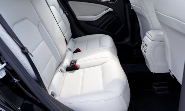 The Best Car Leather Cleaners and Conditioners 2020: Reviews and Buying Guide